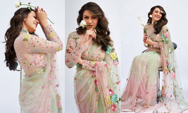 Hansika Motwani looking gorgeous in two toned net saree