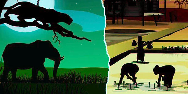 
Avoiding disturbance by aggressive wild animals