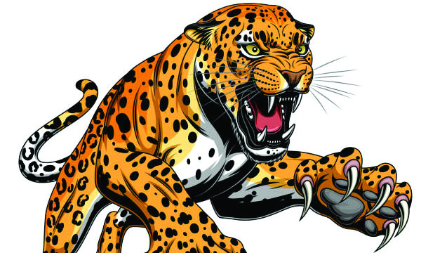 Forest and wildlife department said vital information was not maintained