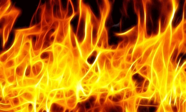 A man died after his car burnt down in a rubber plantation, the incident happened in Thodupuzha