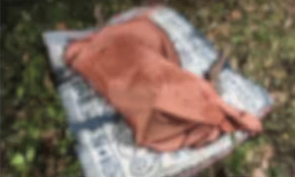 death-of-kayamkulam-couple-police-said-that-the-husband-took-his-own-life-by-killing-his-wife-