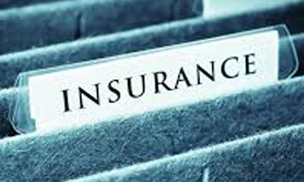 100 percent foreign investment in insurance sector
