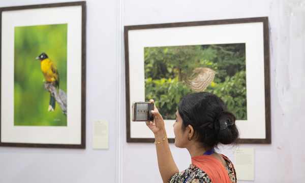 Science Congress with singing birds
