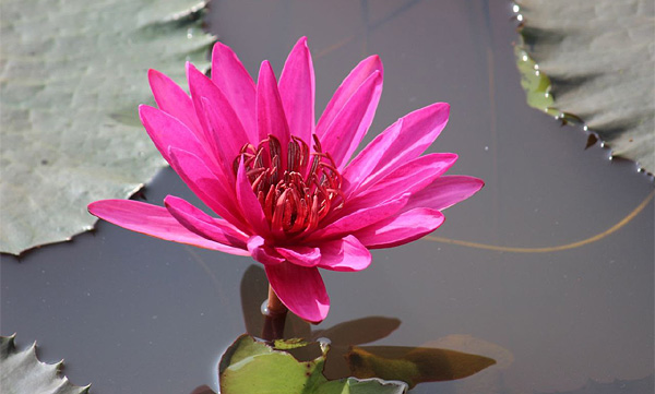 It's fascinating to watch, the view is beautiful; but destructive