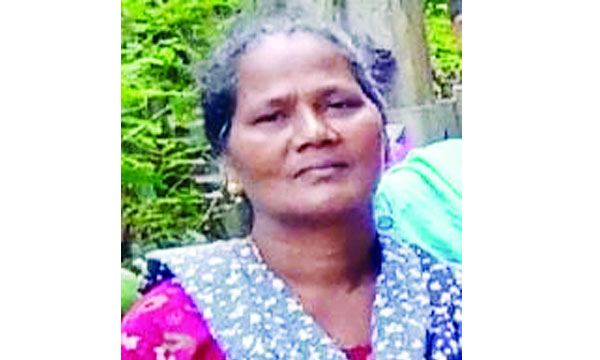 A housewife who went to bath was killed by a wild cat