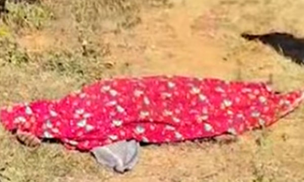 Another death in Wayanad attack by a wildebeest; One person was killed in Attamala