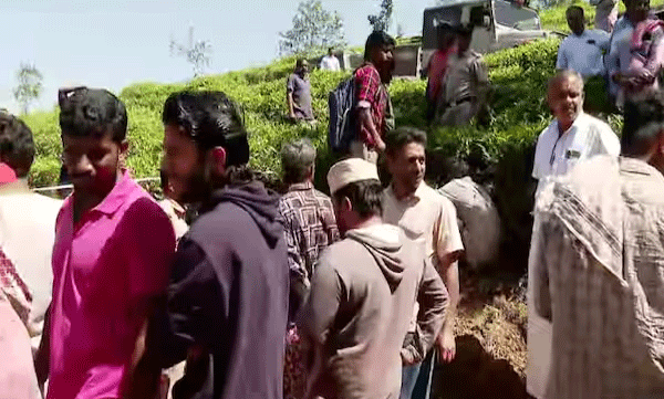 forest-department-again-with-action-plan-to-prevent-wildlife-attacks