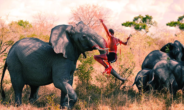 Eight years later, 12 lives were lost on the hillside with elephant attack