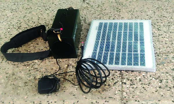 Forest department with sound trap made by tigers to drive herds of wildebeests