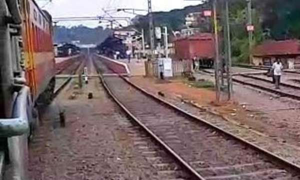 Three dead bodies on rail tracks in Etumanur
