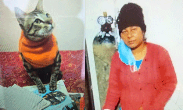up-womans-cat-dies-she-keeps-body-for-2-days-then-kills-herself