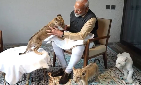 PM Narendra Modi inaugurated and visited the wildlife rescue