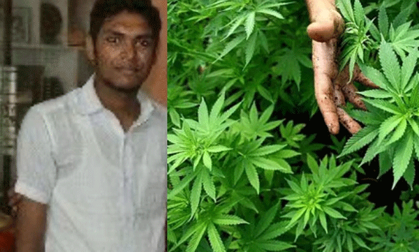 youth-congress-worker-arrested-with-ganja-in-pathanamthitta