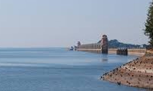 assault aganist tourist