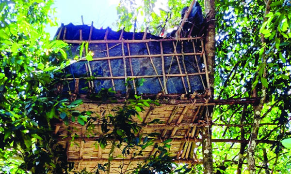 Three tribal children found in a hut on the riverbank