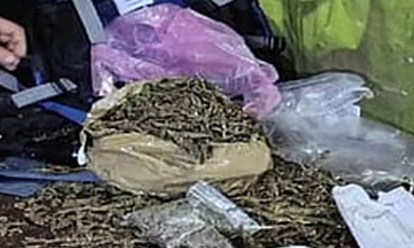 Aashiq, a SEN graduate, brought the cannabis