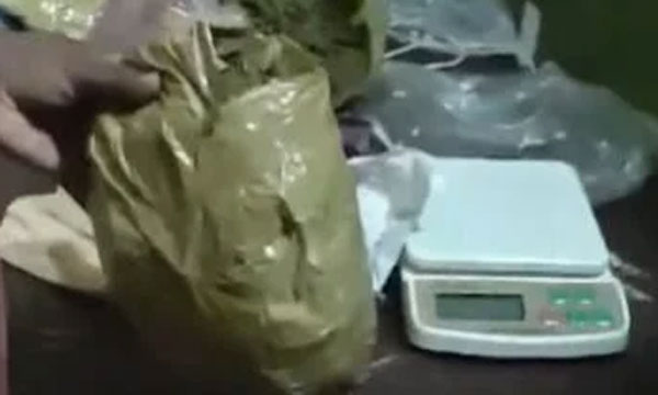 Ganja seized in Kalamassery