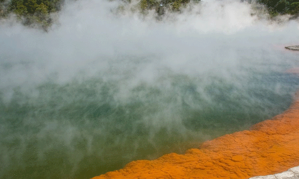 
A hot spring that burns when touched: The intriguing Champagne Pool in New Zealand