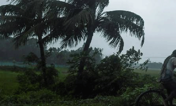 Summer is intense in the hilly regions of the state; strong winds in Kozhikode and Malappuram