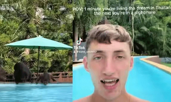 tourist-cornered-by-monkeys-in-thailand-pool-shocking-video