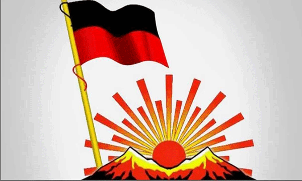 while-removing-the-party-flag-it-hit-a-power-line-one-died-four-injured