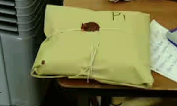 half-kilogram-mdma-seized-from-house-at-kochi