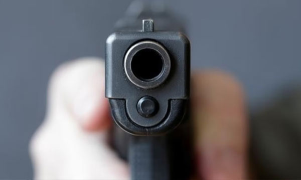 Sajo's gun killed 59 wild boars in one year