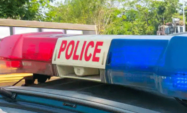 delhi-elderly-woman-robbed-at-gunpoint-accused-says-to-pay-alimony-to-wife