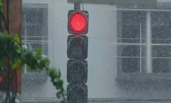 heavy-rain-and-wind-in-wayanad-trees-uprooted-widespread-damage-kerala-rain-live-news