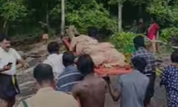 A group of four members from two families came to collect honey.