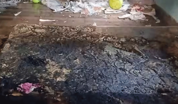 mother-who-attempted-suicide-by-setting-her-children-on-fire-in-karunagappally-dies