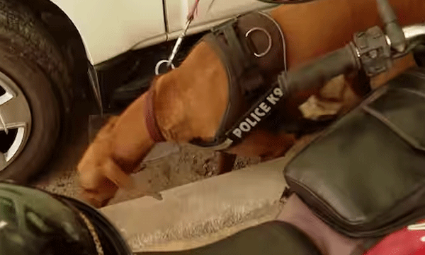 bomb-threat-at-palakkad-kollam-an-kottayam-collectorates-