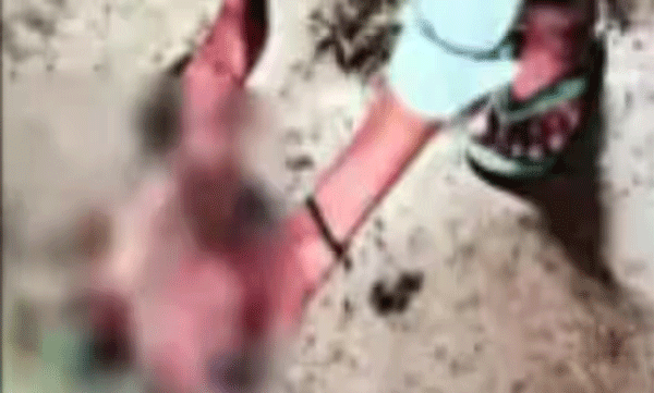 teacher-suspended-for-cutting-up-chicken-bought-for-teacher-by-9th-grader-during-exam-