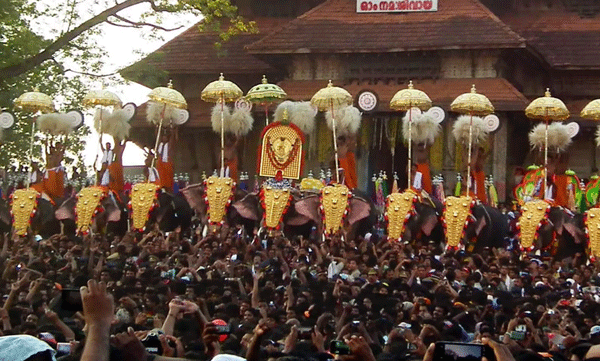 'Laser was shot into the eyes of elephants during Thrissur Pooram'; Paramekkavu Devaswom makes serious allegations