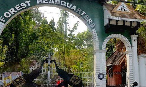 Despite receiving the complaint, the forest department could not take action against the celebrities