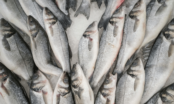 scientists-plan-to-provide-astronauts-with-seafood-grown-on-the-moon