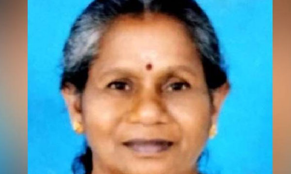 Old woman goes missing in Mananthavadi forest; The forest department, police and locals conducted a search