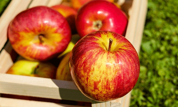 5-healthy-foods-for-slim-body