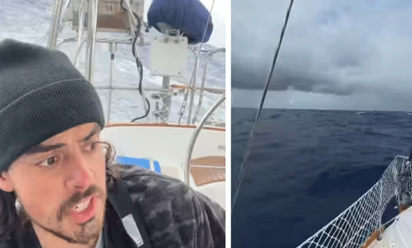man-buy-boat-and-sail-the-pacific-with-pet-cat-viral-video