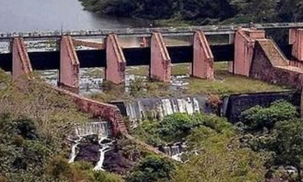 Mullaperiyar: Government instructions to forest department; There is no rush to cut the tree