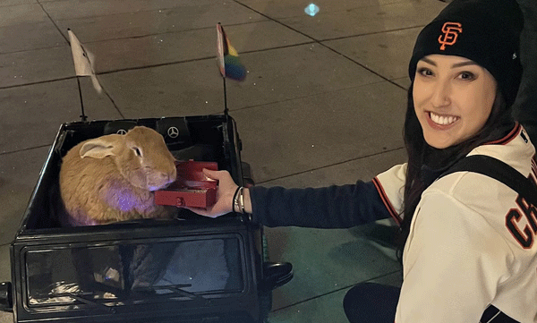 alex-the-great-famous-rabbit