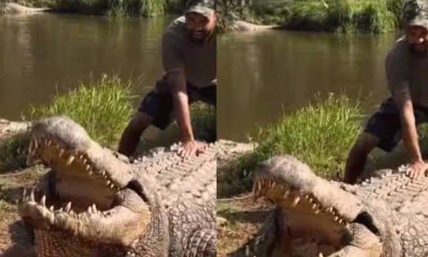henry-124-year-old-nile-crocodile