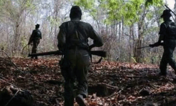 Security forces kill seven Maoists in Chhattisgarh