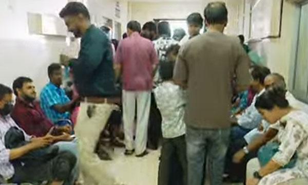 People were bitten by stray dogs in Kannur city this morning too; 11 people sought treatment