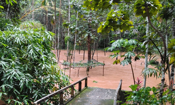 Widespread rain in the state; Dams opening, orange alert in three districts