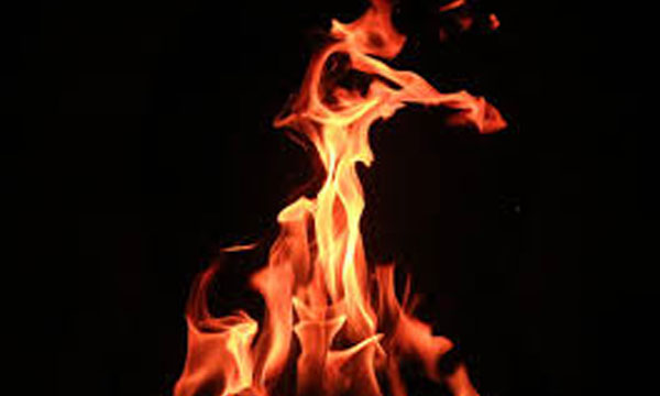 Kasargods son burns his mother while she sleeps; Poured petrol on him and set him on fire, also attacked his relative