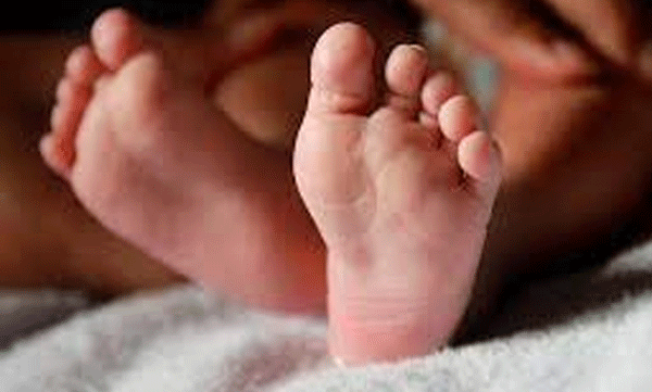 Two newborn babies buried in Thrissur; Youth brought to police station with bone fragments