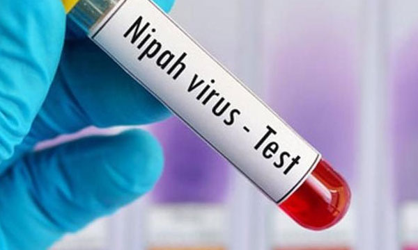 Nipah was confirmed in a Palakkadu woman who was admitted to the hospital with symptoms