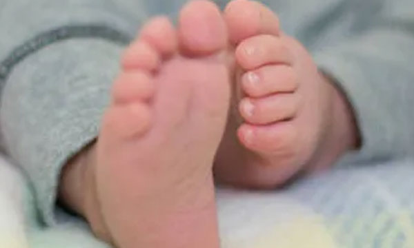 A two-month-old baby has chelakarma; Continuously after the post-mortem report is released