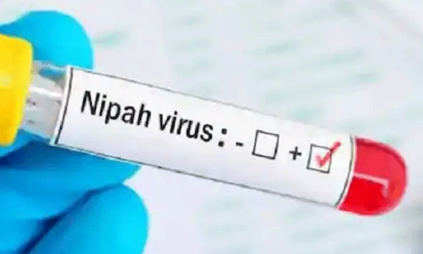 One more person infected with Nipah in Palakkad; Son of deceased infected with the disease also infected with the virus